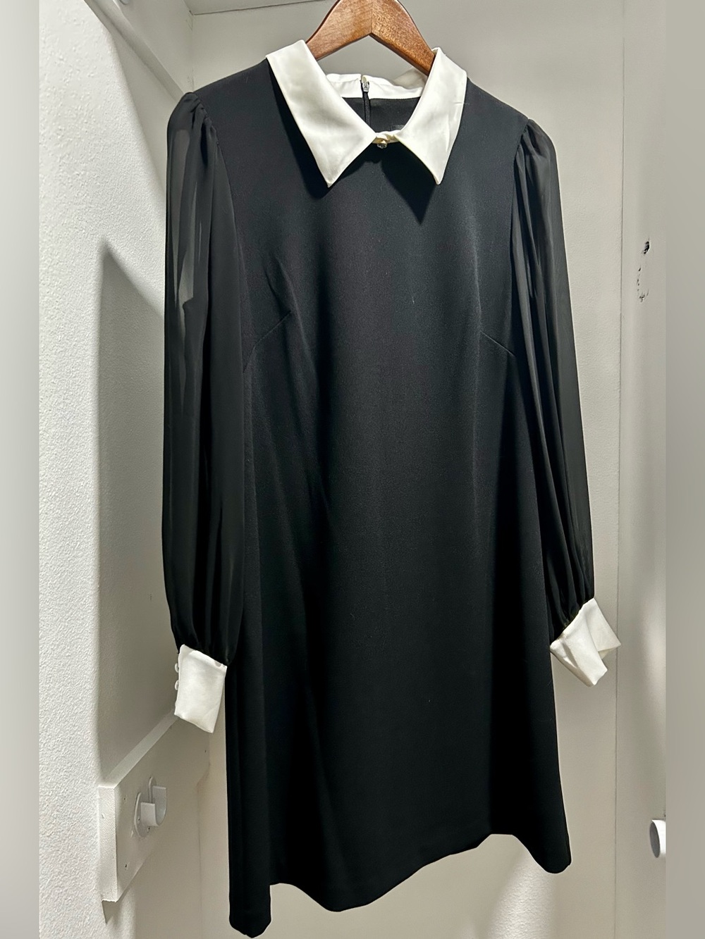 Black Dress collared,  long sheer sleeves. 14P